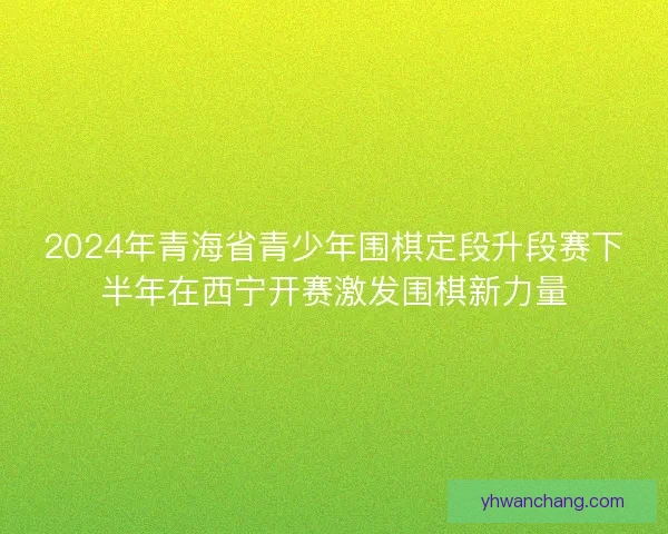 2024年青海省青少年围棋定段升段赛下半年在西宁开赛激发围棋新力量