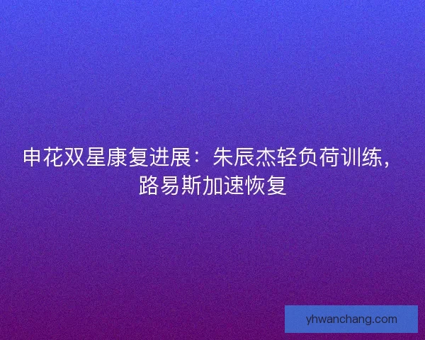 申花双星康复进展：朱辰杰轻负荷训练，路易斯加速恢复